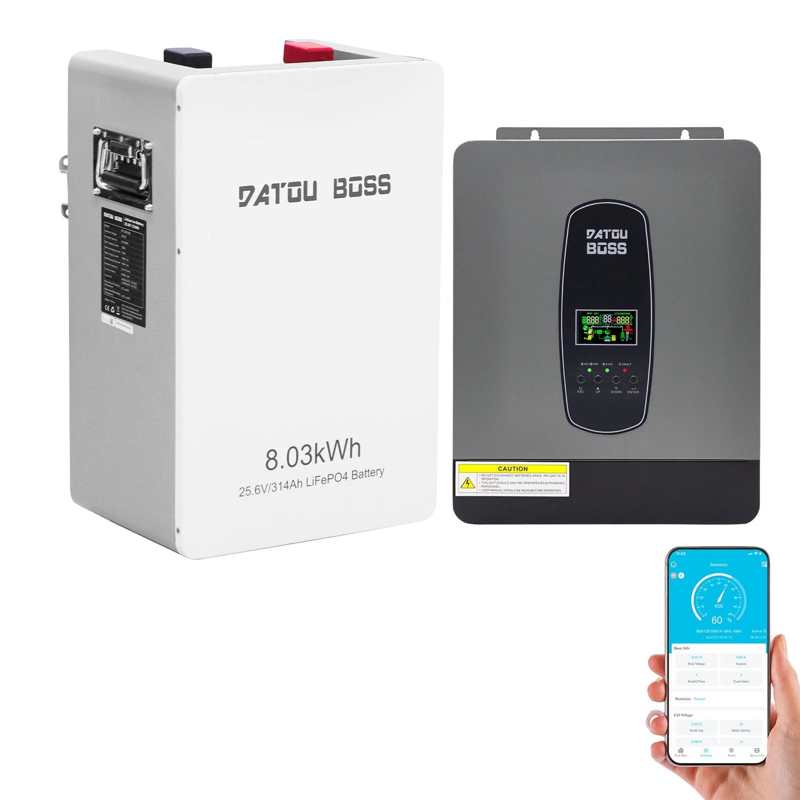 DATOUBOSS DT-2430 + DT-24314S — Комплект 24 В 8 кВт·год: інвертор 3000 Вт + LiFePO₄ 314 А·год, головне фото